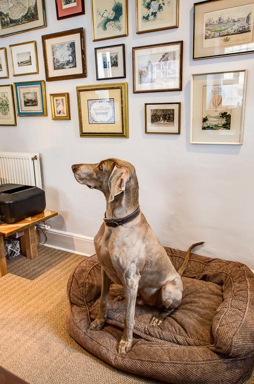 White Hart Inn Wells Luaran gambar